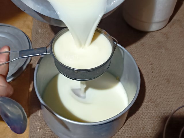 1000016761.jpg