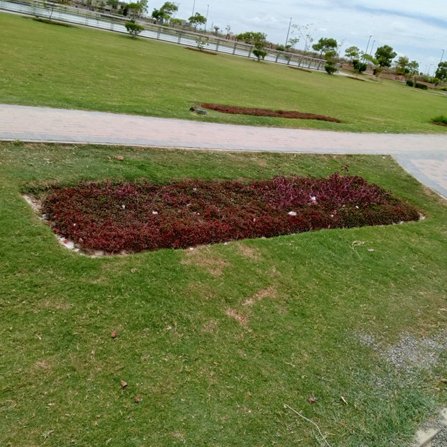 1000019557.jpg
