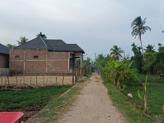 1000078280.jpg