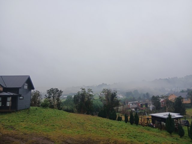20250730_154509.jpg