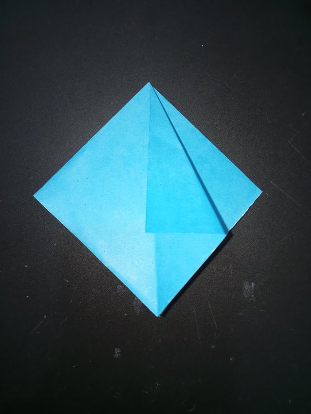 1000029897.jpg