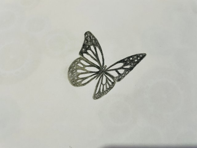 IMG_1821.jpeg