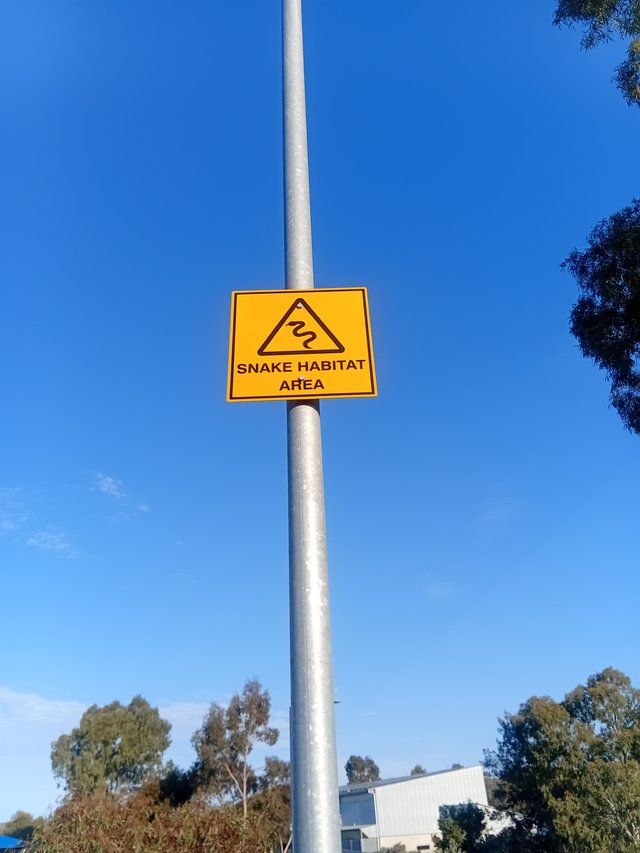 20251019_180101.jpg