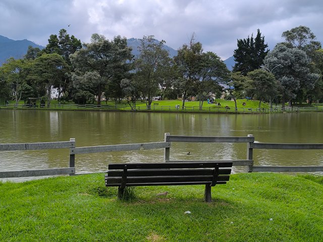 1000519590.jpg