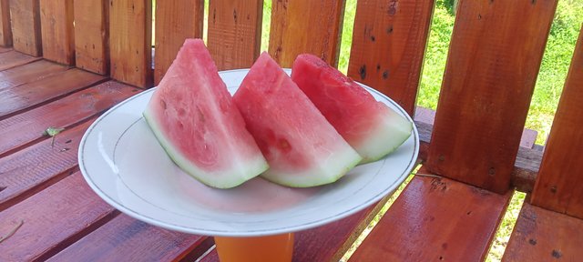 IMG20241113122616_01.jpg