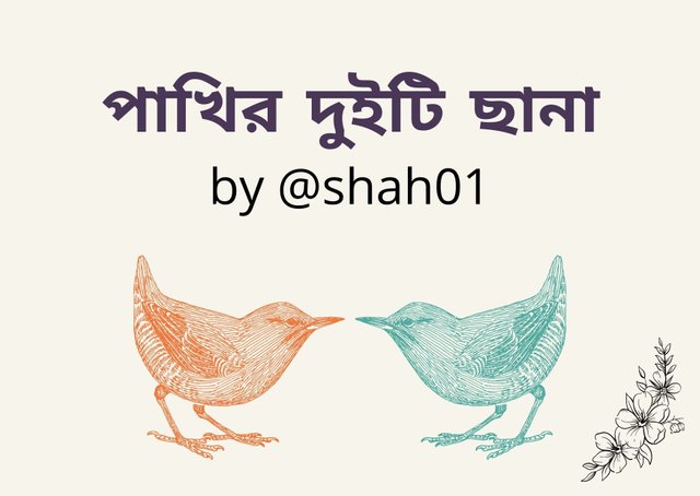 পাখির দুইটি ​ছানা.jpg