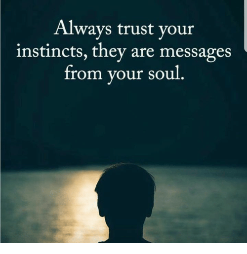 always-trust-your-instincts-they-are-messages-irom-your-soul-30935680.png