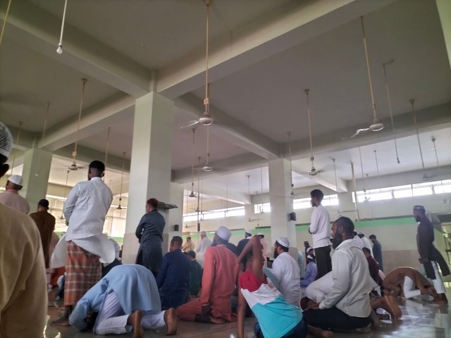 IMG20250411135029.jpg