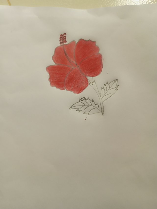 IMG_20250806_155435_286.jpg