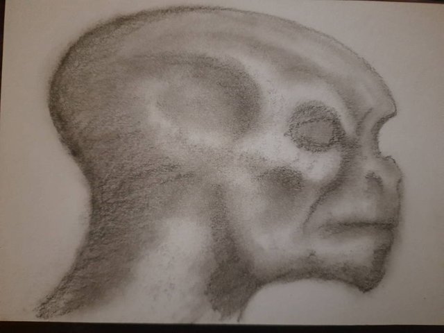 20250731_102334.jpg