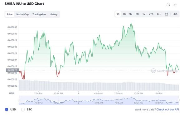 Shiba-Inu-coin-price-latest-news-digital-coin-cryptocurrency-fantom-latest-price-changes-elon-musk-effect-SHIB-price-3692530.jpg