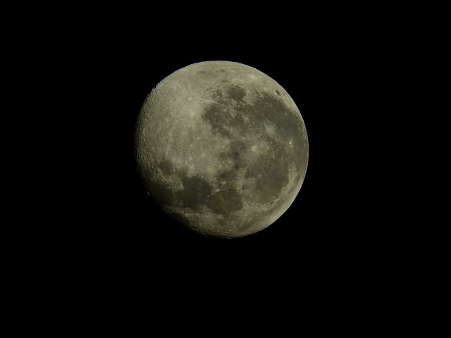 moon-871137_1280.jpg