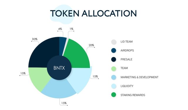 Bintex Token Allocation.jpg