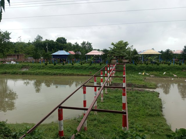 IMG_20250530_121209_484.jpg