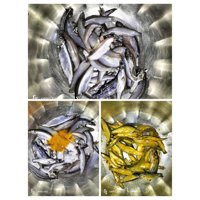 PhotoCollage_1755246802681.jpg