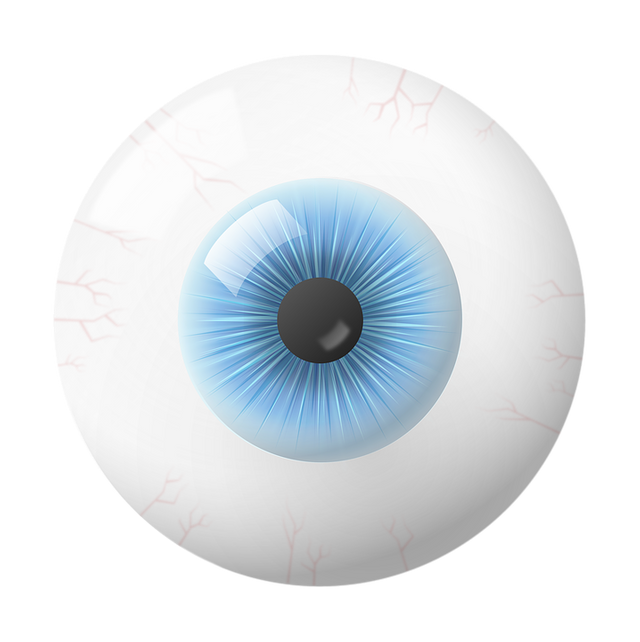 eye-1882171_960_720.png