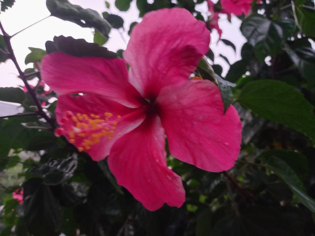 20251009_174923.jpg