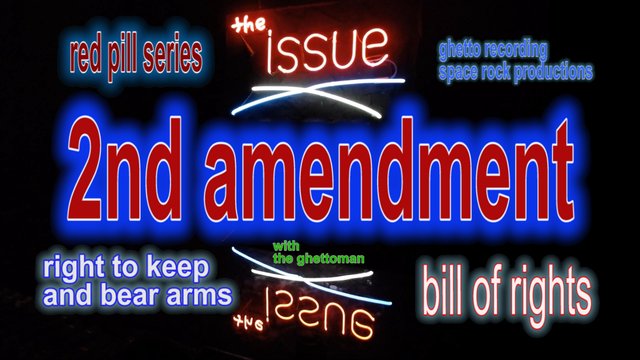 second amendment cover.jpg