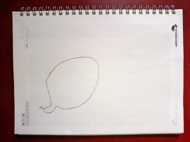 1000012130.jpg
