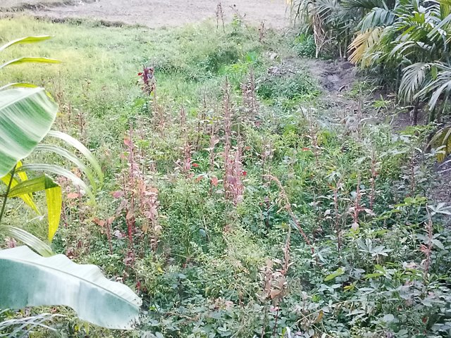 1000042978.jpg