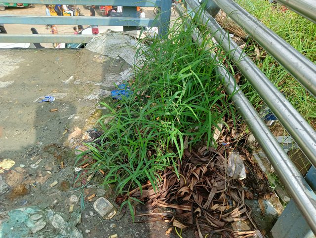 IMG20250801145727.jpg