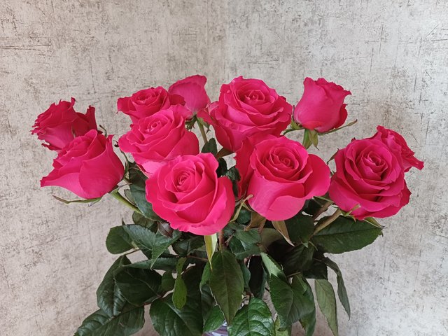 20250811_065357.jpg