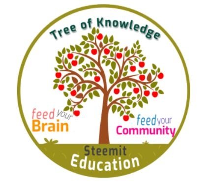 steemit edu logo.jpg