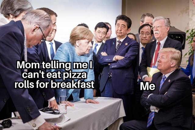 Merkel vs Trump at G7 30062018083320.jpg