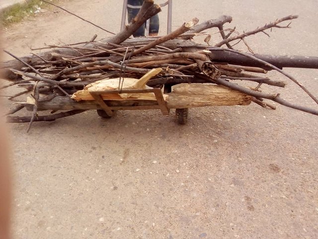 IMG-20210228-WA0033.jpg