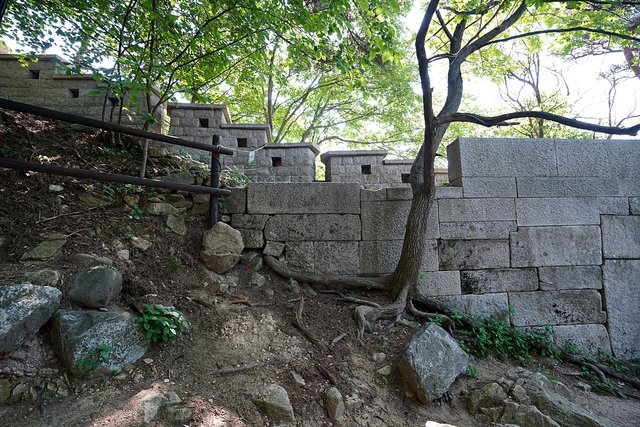 b-DSC04396.JPG