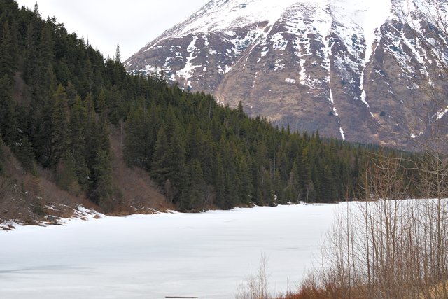 DSC_6374 jerome lake still frozen and snow covered 12 x 8.jpg