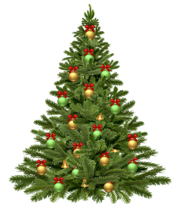 christmas-tree-1808558_1280.png