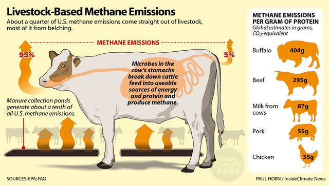 ag-climate-livestock-methane-emissions-infographics-1058px.png