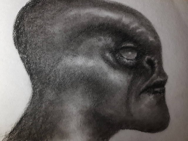 20250601_095559.jpg