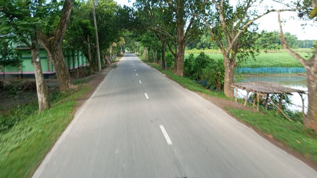 IMG_20230712_073327_8.jpg