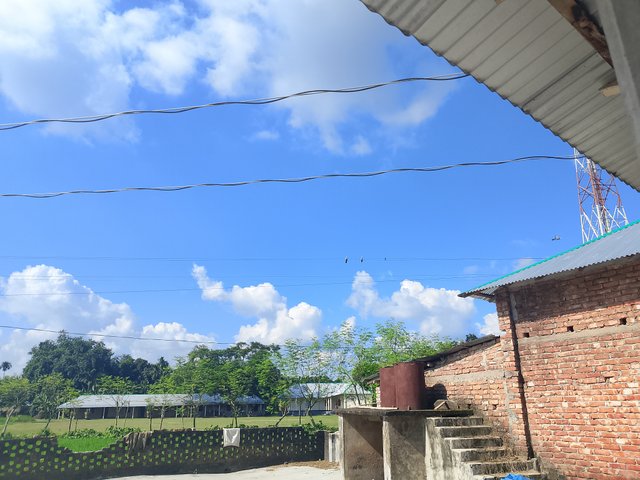 1000051912.jpg