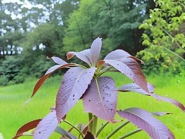 20230618_173437.jpg