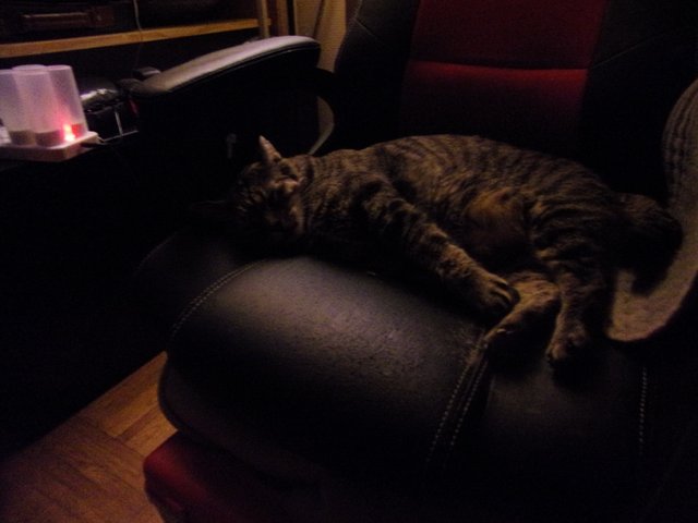 100_2585.JPG