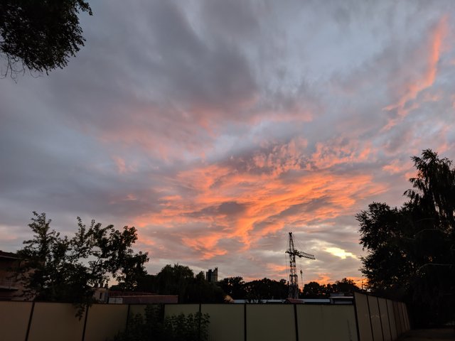 IMG_20210706_204954.jpg