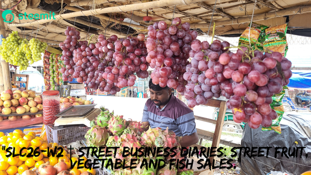 SLC26-W1 Street Business Diaries Street Food and Snacks.(3).png