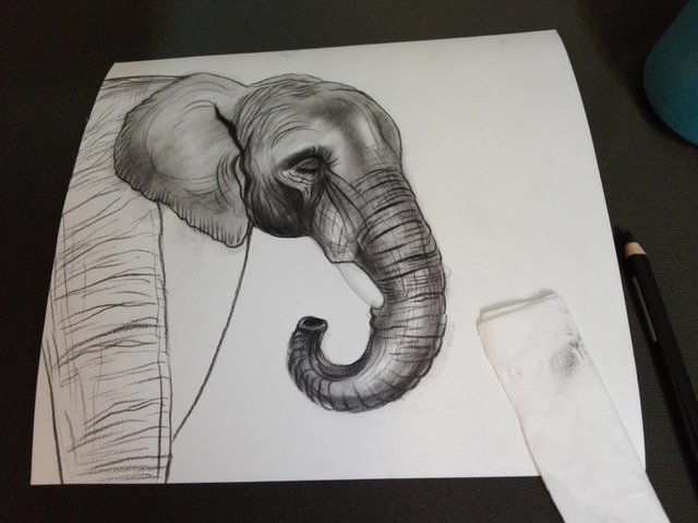 Elephant(365).jpg