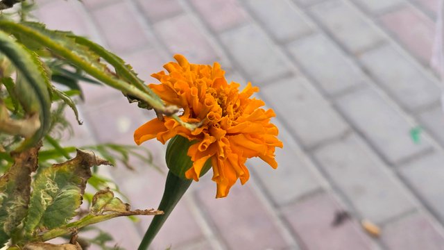 20250330_063818.jpg