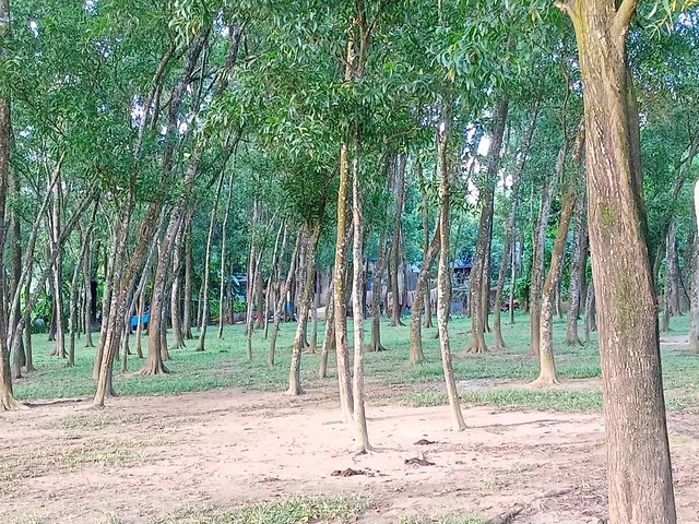 IMG20250821175608.jpg