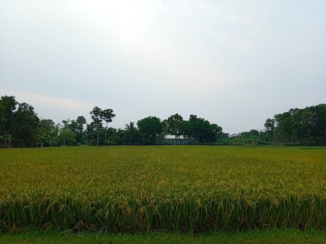 IMG_20250430_204314.jpg