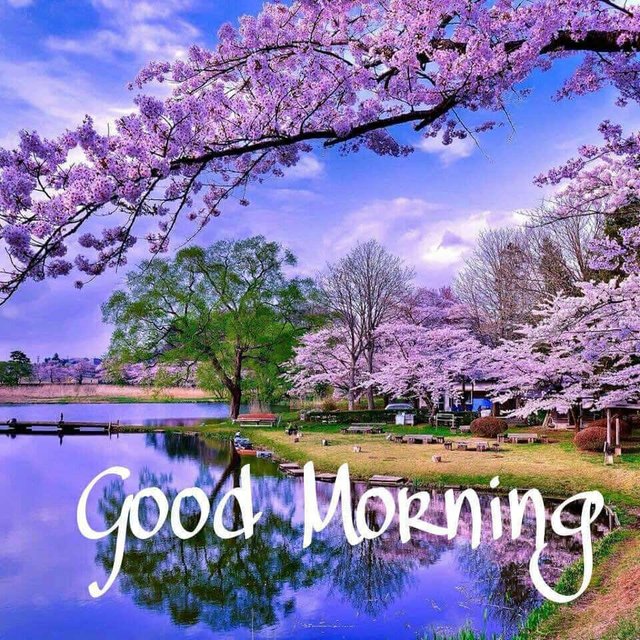 Image result for to all my friends good morning