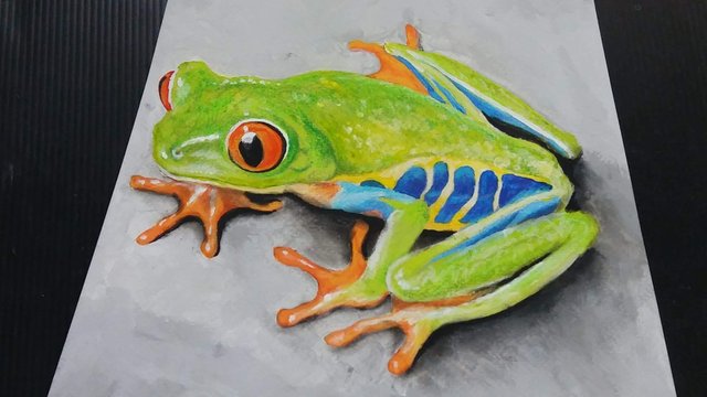 how to draw a realistic tree frog