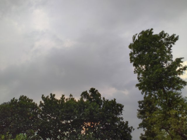 IMG20230424172708.jpg