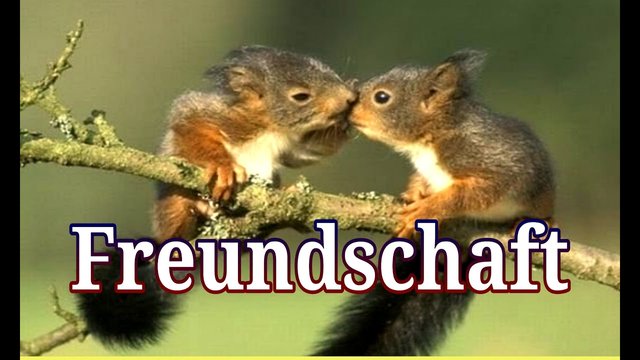 maxresdefault freundschaft.jpg