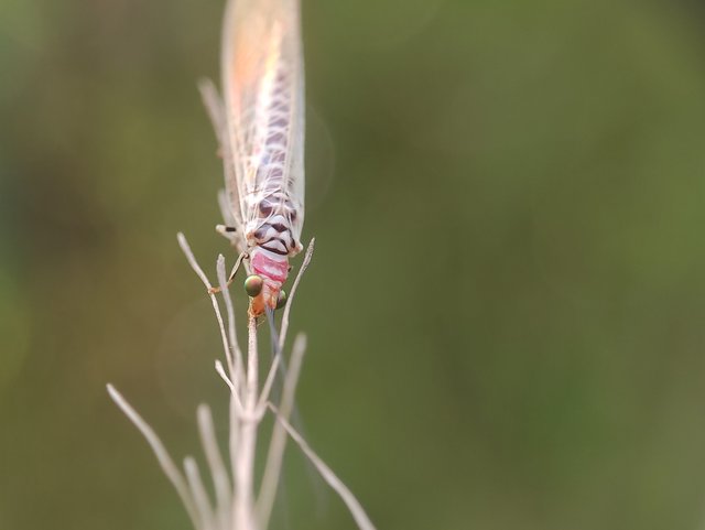 IMG_20230924_171853.jpg