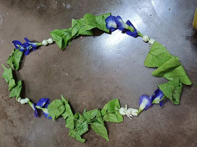 20250804_105511.jpg